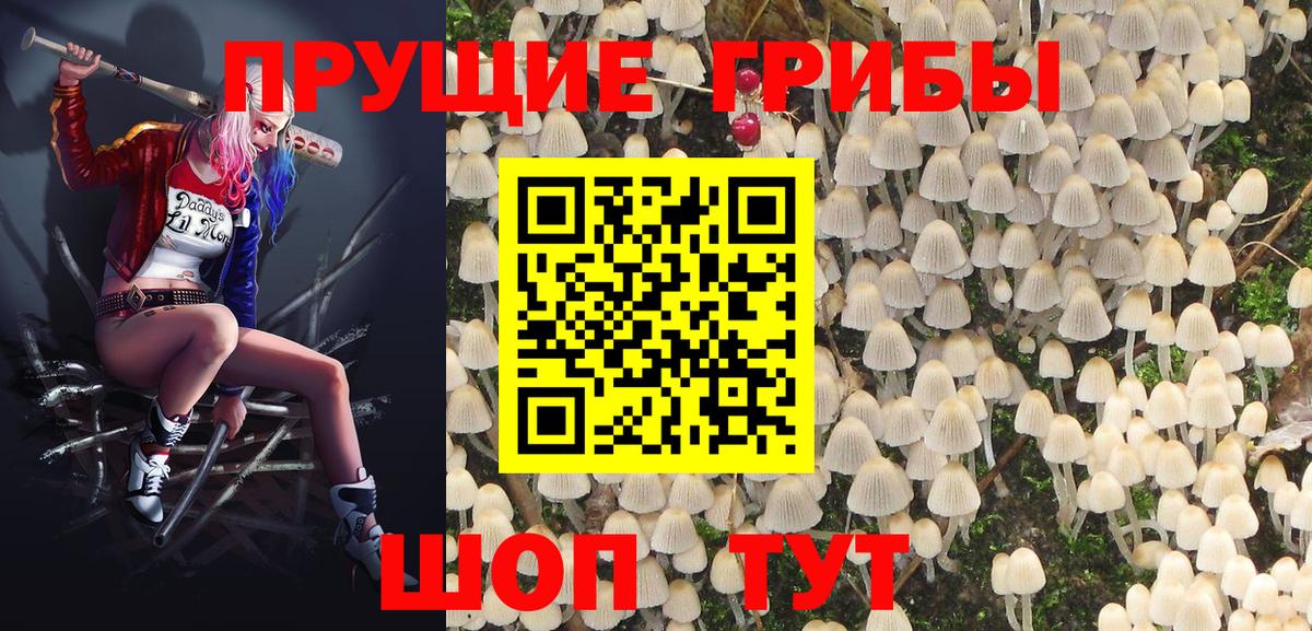 Волжский  Псилоцибиновые грибы ЛСД  Псилоцибиновые грибы Psilocybe  Вход с VPN 