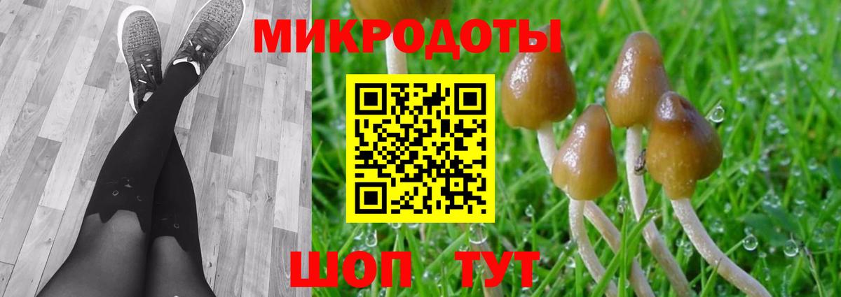 Галлюциногенные грибы Cubensis Волжский